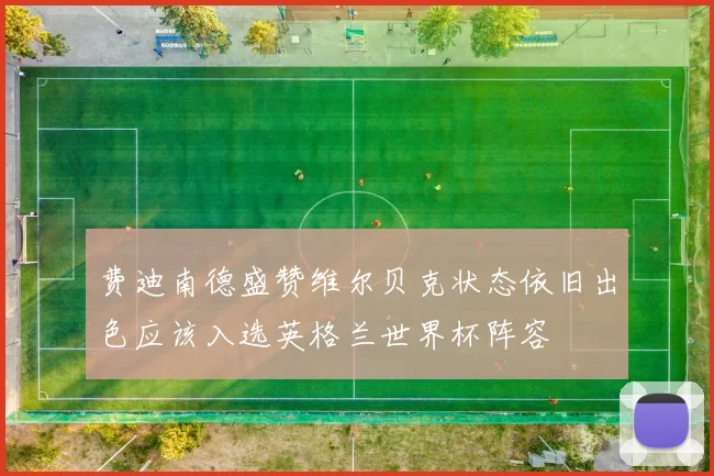 费迪南德盛赞维尔贝克状态依旧出色应该入选英格兰世界杯阵容